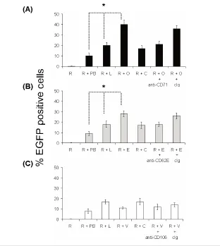 Figure 2. Transducibility of ECs by retroviruses. pBullet-EGFP was used to generate am-