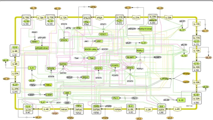 Fig. 4 The network model of the T Cell differentiations. The figure illustrates network topologies associatedwith the naïve T cells differentiation towards T helper (Th)1, Th2, Th17, and induced regulatory T cells