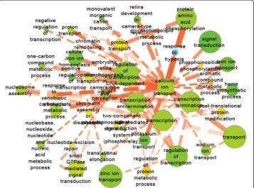 Fig. 5 Network of GO terms enriched in 1α,25(OH)2D3-specific co-expression links. Node color represent thefraction of the gene in that node that were regulated by 1α,25(OH)2D3 on any day (green is low and red ishigh)
