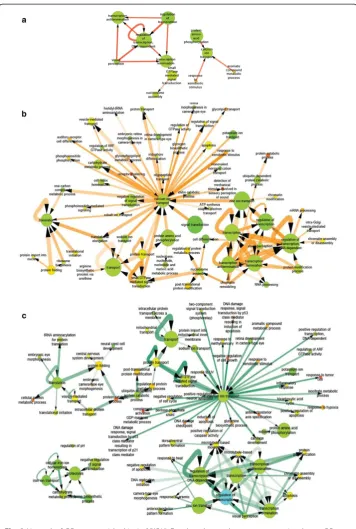 Fig. 3 Network of GO terms enriched in 1α,25(OH)2D3 -altered genes between consecutive days