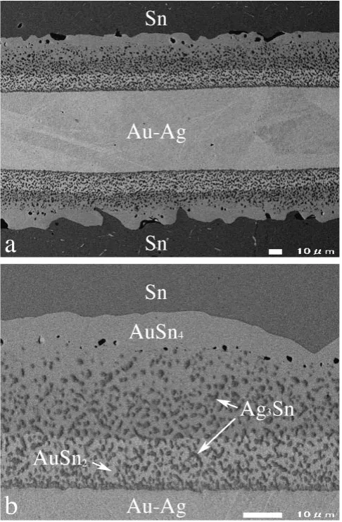 Fig. 1Back-scattered electron images of cross-section for the Au0:5Ag0:5diﬀusion couple annealed at 433 K for 72 h (2:59 � 105 s).