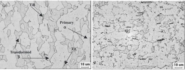 Fig. 1The optical and SEM microstructure of the composite (a) before deformation (b) deformed to fracture (�f ¼ 421%).