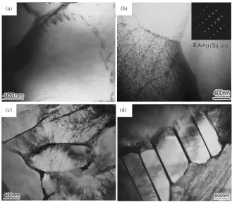 Fig. 4The TEM microstructures of composite tested at 980�C under 5 � 10�3 s�1 (a) and (b) dislocation structures; (c) and (d) subgrainboundary.