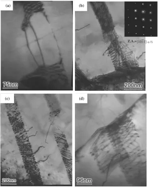 Fig. 5The dislocations microstructures of composite tested at 980�C under 5 � 10�3 s�1 (a) dislocation multiplication; (b) dislocationpile-up; (c) small angle tilt grain boundary; (d) dislocation network.