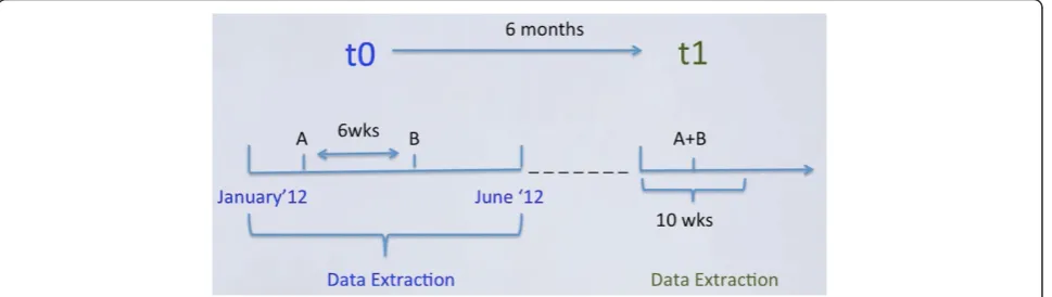 Fig. 1 Antipsychotic polypharmacy algorithm