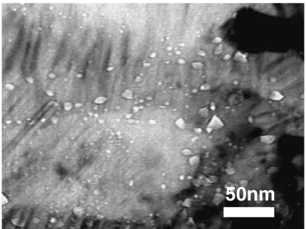 Fig. 7Swelling of Pyrolytic carbon (PyC) interphase after dual-ionirradiation at 1000�C and 100 dpa.