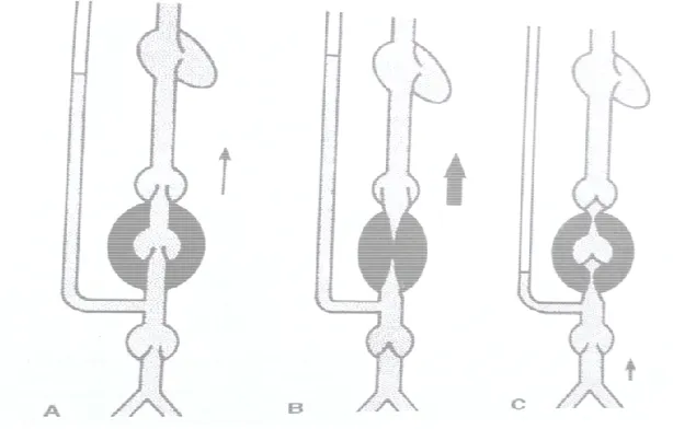 Figure 11 : Effect of Exercise on superficial venous system pressureEffect of Exercise on superficial venous system pressureEffect of Exercise on superficial venous system pressure 