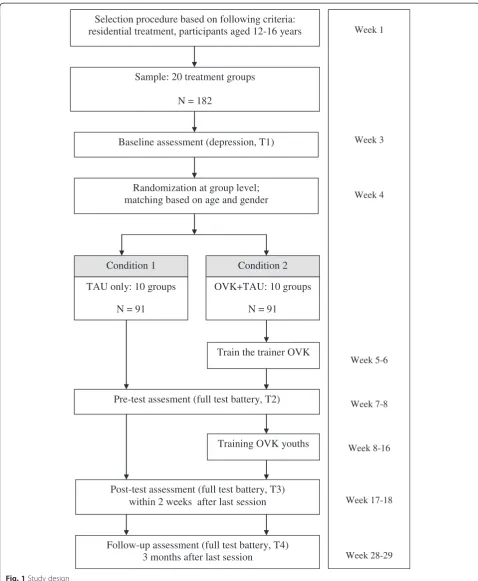 Fig. 1 Study design