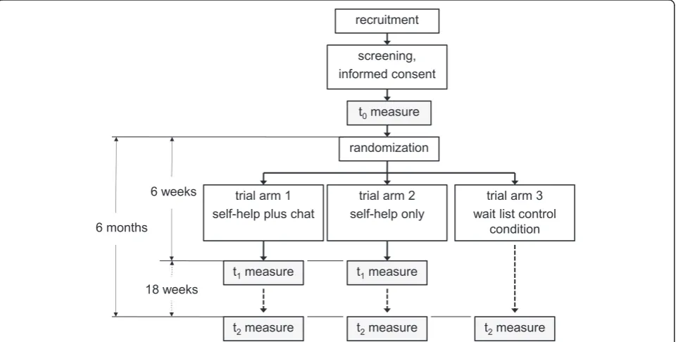 Fig. 1 Trial flowchart: an overview of the participant flow for this three-arm randomized control trial