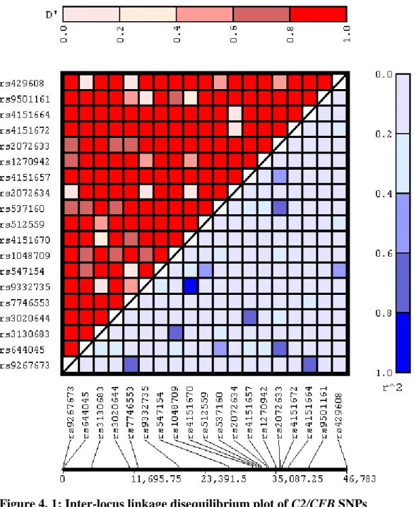 Figure 4. 1 Legend: Pairwise D‟ values are displayed in the upper left and r 2  values displayed in  the lower right, with the degree of LD reflected by the colour intensity