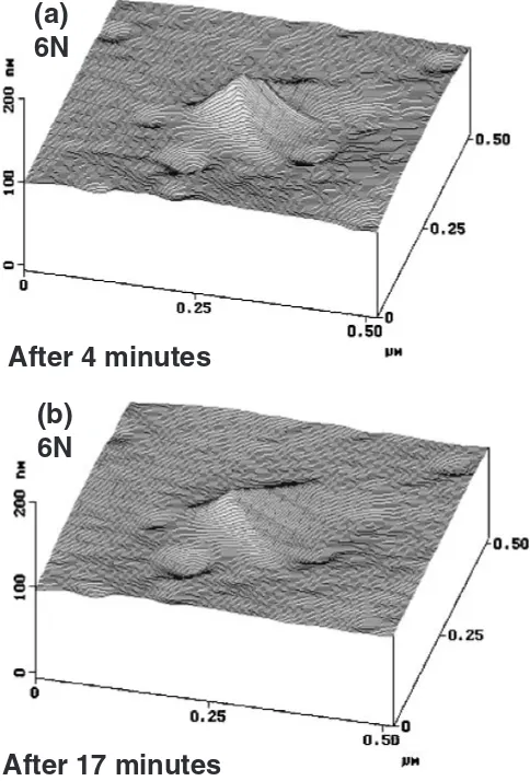 Fig. 13Scanning probe microscope (SPM) images of indentation markshapes, in which Z-axis is inverted.