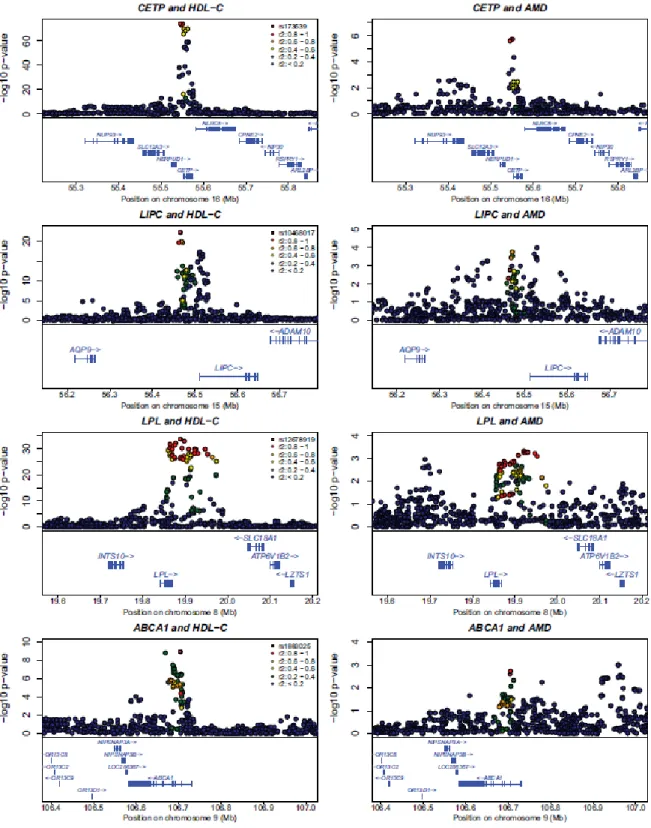 Figure 2.4 Regional plot of association signals in HDL-c and AMD 