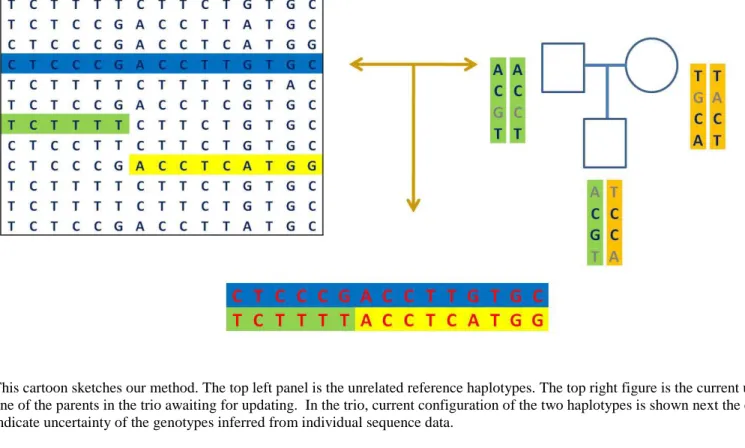 Figure 4.2 Cartoon view of LD-aware method for unrelated samples and parent-offspring trios 