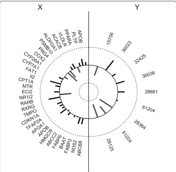 Fig. 6 Graphical representation of the canonical loadings of the X (gene transcript) and Y (fatty acids)datasets for the first canonical variates (CV1)