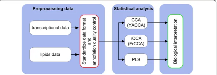 Fig. 2 Integrated transcriptomics and lipidomics data analysis workflow