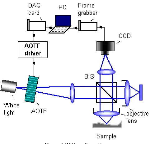 Figure 1 WSI configuration 