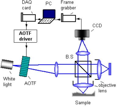 Figure 1 WSI setup 