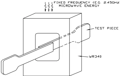Figure 3: Fixed Frequency Microwave Heating – Nonuniform Heating 