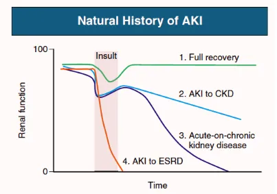 Fig .2: Renal outcomes of AKI (Amdur R etal KI 2009)  