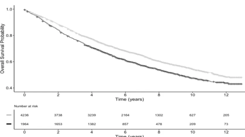 Figure 1.1: Kaplan Meier curve by race: the dark black line represents the survival probability for the black people and the light grey line is the overall survival  proba-bility for the white people.