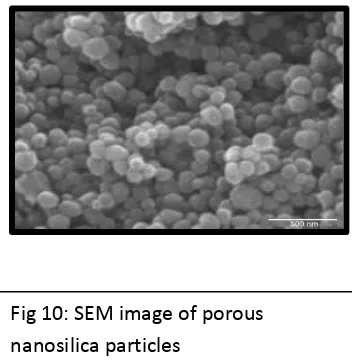 Fig 10: SEM image of porous 