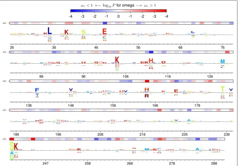 Fig. 4 Site-specific selection on β-lactamase inferred with experimentally informed models