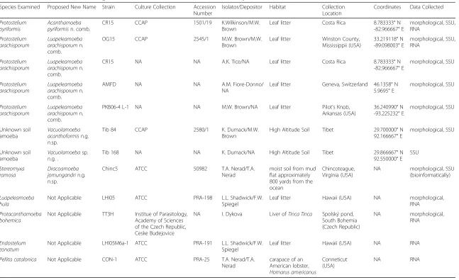 Table 1 Taxonomic, isolation, and data generation information for all isolates used in this study