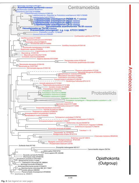 Fig. 3 (See legend on next page.)