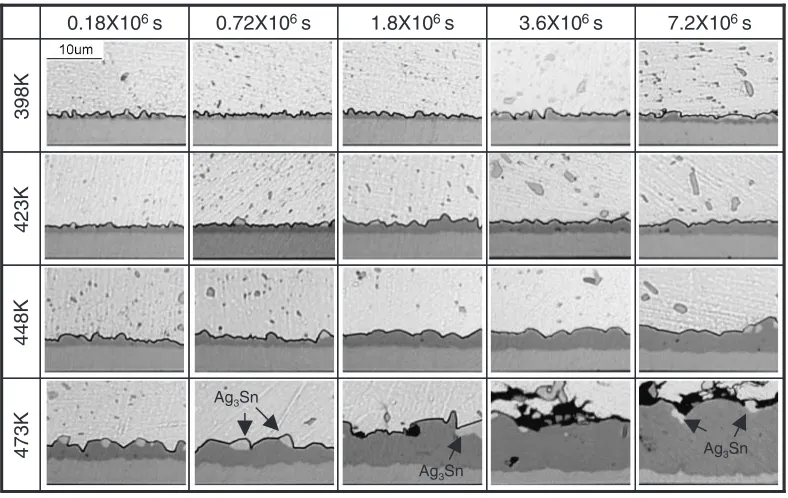 Fig. 4Optical microscope image of Sn–3.5Ag solder/electrolytic Ni joints after aging for up to 7:2 � 106 s from 398 to 473 K.