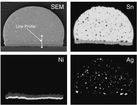 Fig. 10Whole bump EPMA mapping of Sn–3.5Ag solder/electrolytic Nijoints after aging for 7:2 � 106 s at 423 K.
