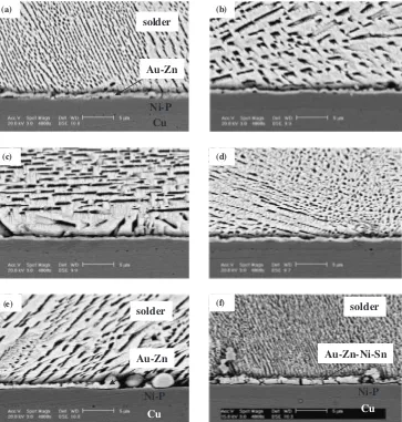 Fig. 1SEM images of the Sn–9Zn/ENIG interfaces reﬂowed at 503 K for various reaction times; (a) 1 s, (b) 1 min, (c) 5 min, (d) 10 min,(e) 60 min and (f) 120 min.