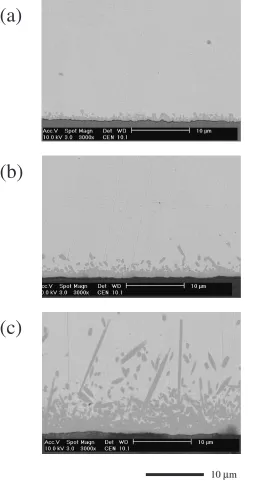 Fig. 3Back scattered SEM images of cross sections of the eutectic Au–Snsolder on Ni, soldered at 300�C for (a) 1 min, (b) 8 min and (c) 32 min.
