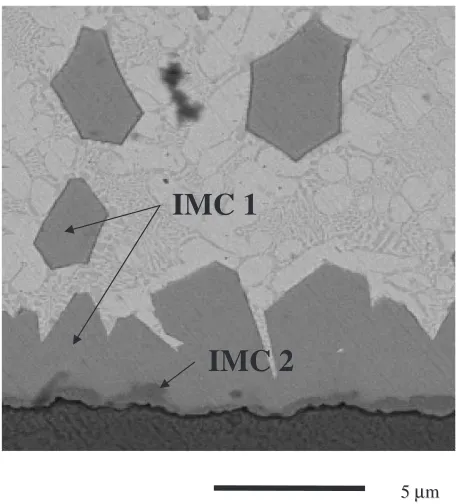 Fig. 5Back scattered SEM image of a cross section of the eutectic Au–Snsolder on Ni, soldered at 400�C for 32 min