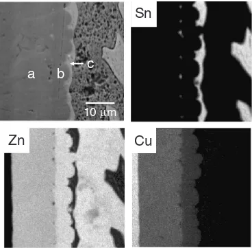 Fig. 3SEM micrographs of Zn–Sn alloys and Zn–Sn alloy/Cu interfaces: (a) Zn–40Sn, (b) Zn–30Sn, (c) Zn–20Sn, (d) Zn–40Sn/Cu,(e) Zn–30Sn/Cu, and Zn–20Sn/Cu.