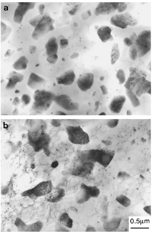 Fig. 2X-ray microanalysis (EDXS) spectrum showing that only theelements of Mg and Al were detectable in association with globularparticles such as those shown in Fig