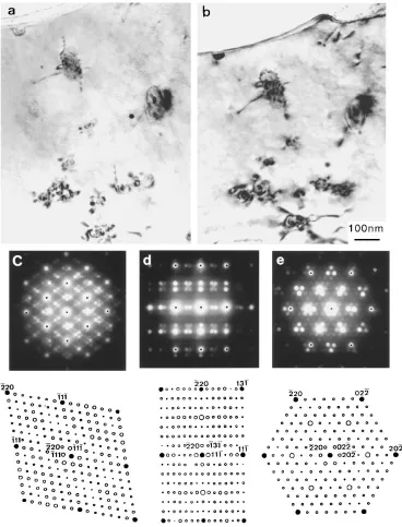 Fig. 3Bright ﬁeld images recorded parallel to (a) h110i� and (b) h112i� directions, showing small spheroidal particles, surrounded bydislocation tangles in the Al–10Mg–0.5Ag alloy aged for 72 h at 240�C
