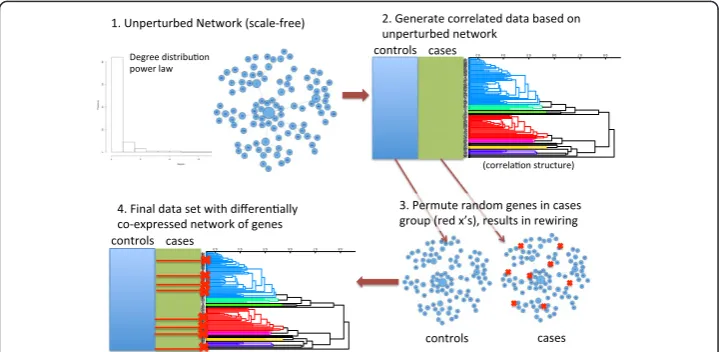 Figure 1 The simulation of gene expression data with differential co-expression network effectsbegins with a gene network with given connectivity and degree distribution, such as scale-free(Step 1)