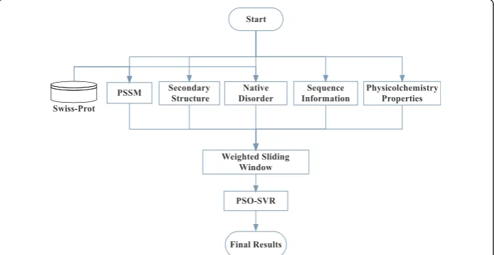 Figure 1 The architecture of PSAP for protein solvent accessibility prediction. Five different types ofsequence-derived features are generated and constructed as input vector to build the PSO-SVR with weightedsliding window scheme.