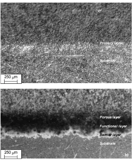 Fig. 4A cross-section of the coating layers: (a) 180 s, and (b) 3300 s.