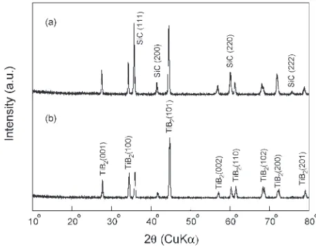 Figure 3 shows the microstructure of 40TiB2–60SiC compo-
