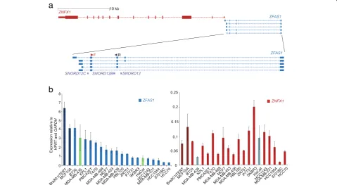 Fig. 1 Genomic orientation ofred bars indicate normal breast epithelial cell lines, normal coloured bars indicate breast cancer cell lines
