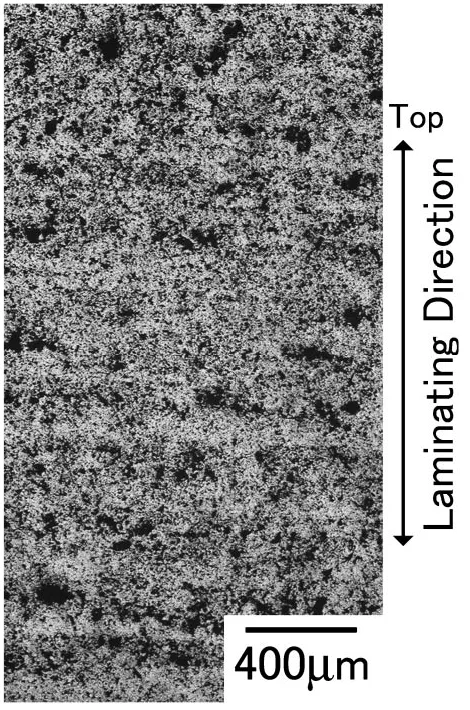Fig. 6Microstructures of the sample from raw nickel powder bonded byPVA (pre-sintered at 873 K).