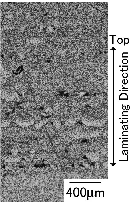 Fig. 10Appearance of a laminated and sintered sample (sintered at 1623 Kfor 3.6 ks). The dimension of the sample is 3:3 � 10 � 3:5 mm.