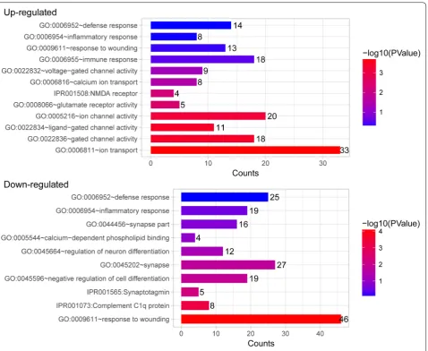 Fig. 3 The significantly enriched gene ontology terms associated with pain in goats
