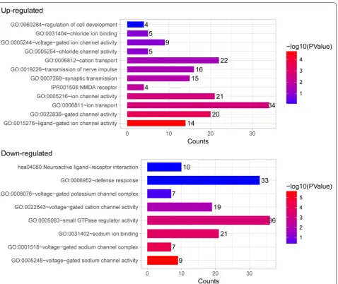 Fig. 4 The significantly enriched gene ontology terms associated with pain in sheep