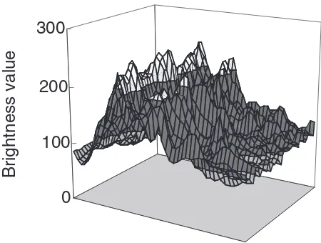 Fig. 10Brightness distribution of 1050 alloy in reference data.