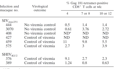 TABLE 1. Quantitation of frequency of Gag 181-tetramer-positiveCD3�CD8� T cells in the blood of Mamu-A�01-positive macaques