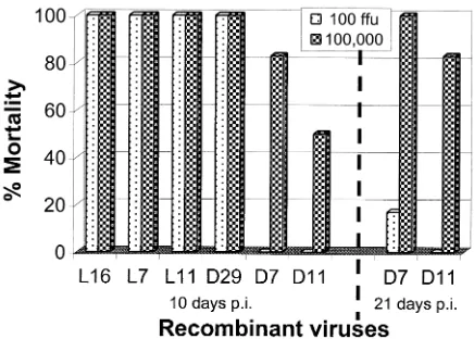 FIG. 5. Pathogenicity of recombinant RVs. Two-days-old sucklingmice were inoculated with recombinant RVs at a dose of 100 or