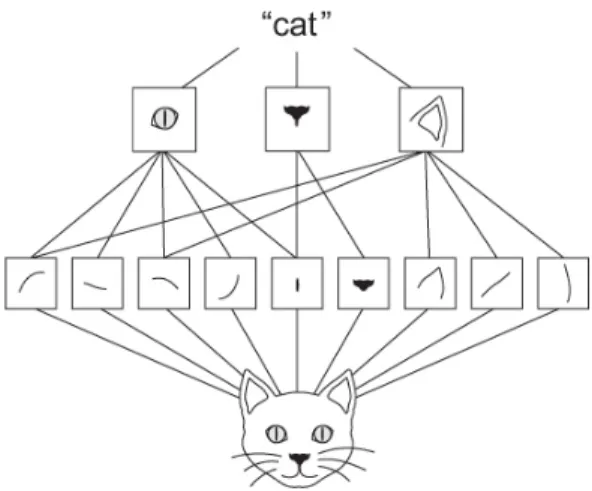 Figure 1.1: Example of a hierarchical representation of a cat.