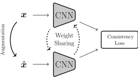 Figure 2.5: A consistency regularization training schematic for semi-supervised learning